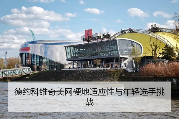 de-yue-ke-wei-qi-mei-wang-ying-di-shi-ying-xing-yu-nian-qing-xuan-shou-tiao-zhan-3-611.jpg