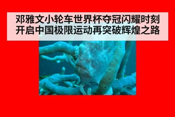 邓雅文小轮车世界杯夺冠闪耀时刻开启中国极限运动再突破辉煌之路