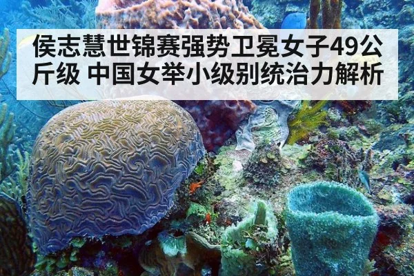 侯志慧世锦赛强势卫冕女子49公斤级 中国女举小级别统治力解析